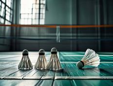 戰(zhàn)術(shù)执行力：职業(yè)体育戰(zhàn)術(shù)体系的 “落地保障”