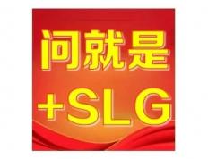 “+SLG”为何成了(le)版本(běn)答案(àn)？