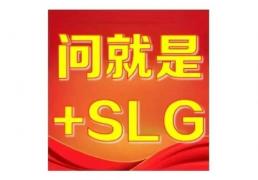 “+SLG”为何成了(le)版本(běn)答案(àn)？