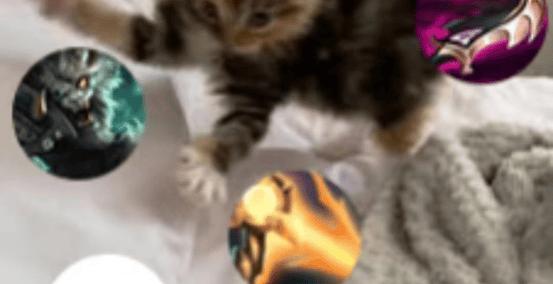 每次(cì)打團(tuán)都(dōu)瞬(shùn)移——澳洲lol国服玩(wán)家的日常