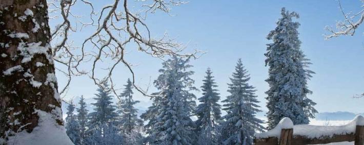 中国电競(jìng)战队EDG夺得(dé)全球(qiú)总決(jué)赛冠軍(jūn)