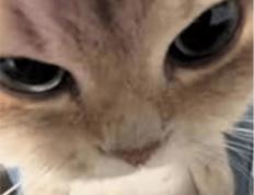 在(zài)澳(ào)洲打lol，有哪些时刻破大防(fáng)