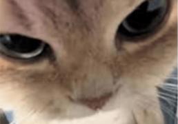 在(zài)澳(ào)洲打lol，有哪些时刻破大防(fáng)