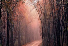 NBA新技(jì)术革命：告别漫(màn)长回放，比赛更流畅！