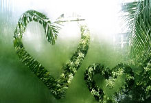 小金属概念盘初(chū)活跃，华钰矿业触及(jí)漲(zhǎng)停