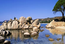 泸州市(shì)江阳区小钰珠寶(bǎo)首饰商(shāng)行（个体工商(shāng)户）成立 注册资本(běn)2萬(wàn)人民币