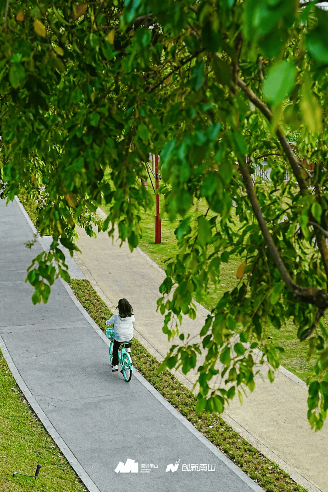 全球总决赛，就在(zài)南山！