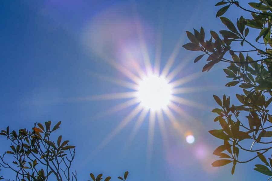 中国电競(jìng)战队EDG夺得(dé)全球(qiú)总決(jué)赛冠軍(jūn)