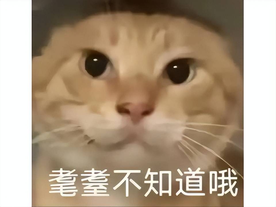 偷……偷家了？魔兽12.0剧情神(shén)反转，圣光黑化、虚空軍(jūn)团全员摆烂